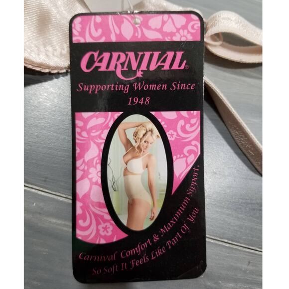 Carnival Bra Underwire Minimizer 509 Satin and Lace 44DD Champagne - Picture 10 of 10